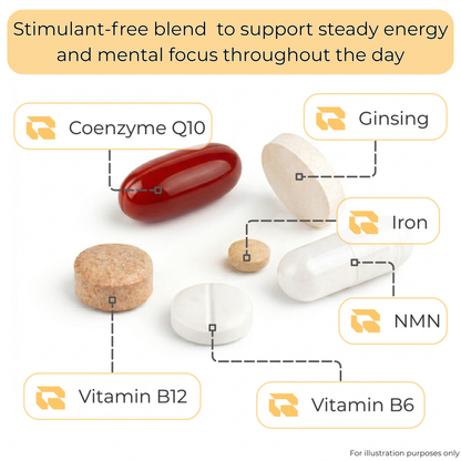 The Energy Pack