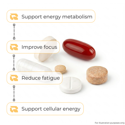 The Energy Pack
