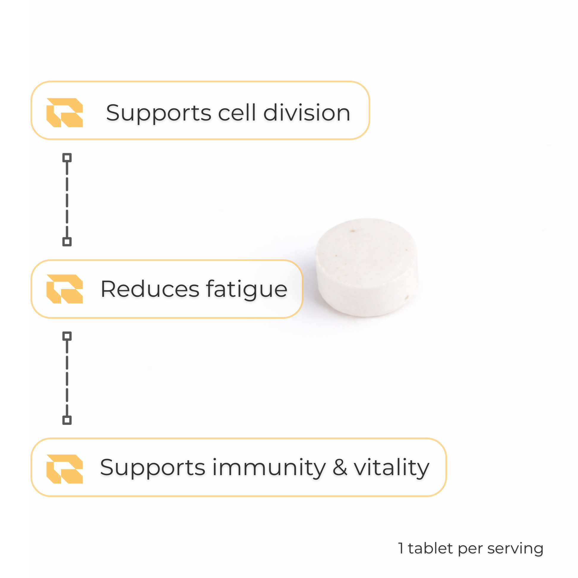 Regimen Folic Acid 400mcg supplement for immune and energy support.
