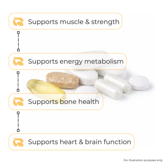 Regimen The Men's Pack supplement bundle for daily strength and vitality.