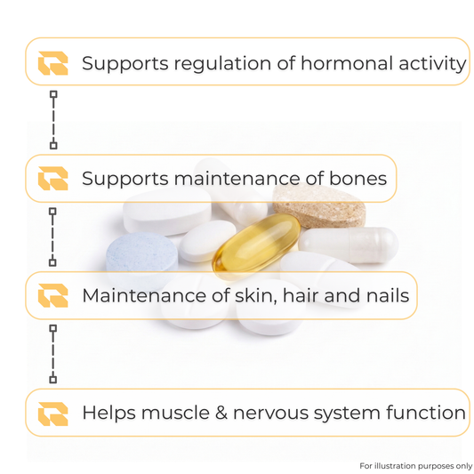 Regimen The Menopause Pack supplement bundle for hormonal and bone support.