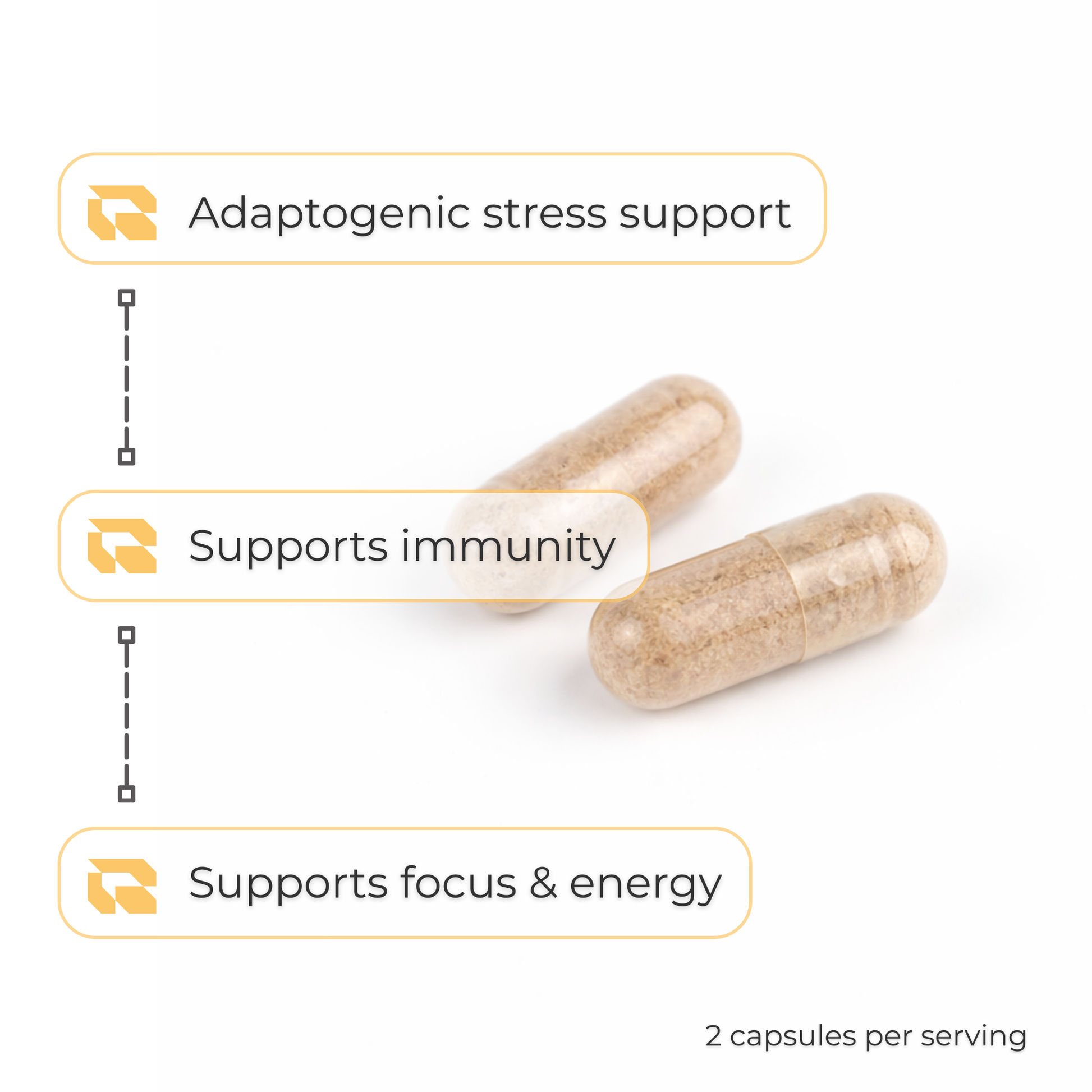 Regimen Adaptogenic Mushroom Complex supplement for immune support.
