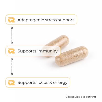 Regimen Adaptogenic Mushroom Complex supplement for immune support.