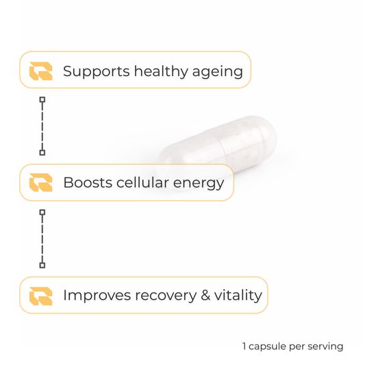 Regimen NMN 500mg supplement for cellular vitality.