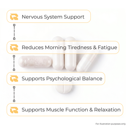 The Sleep Pack