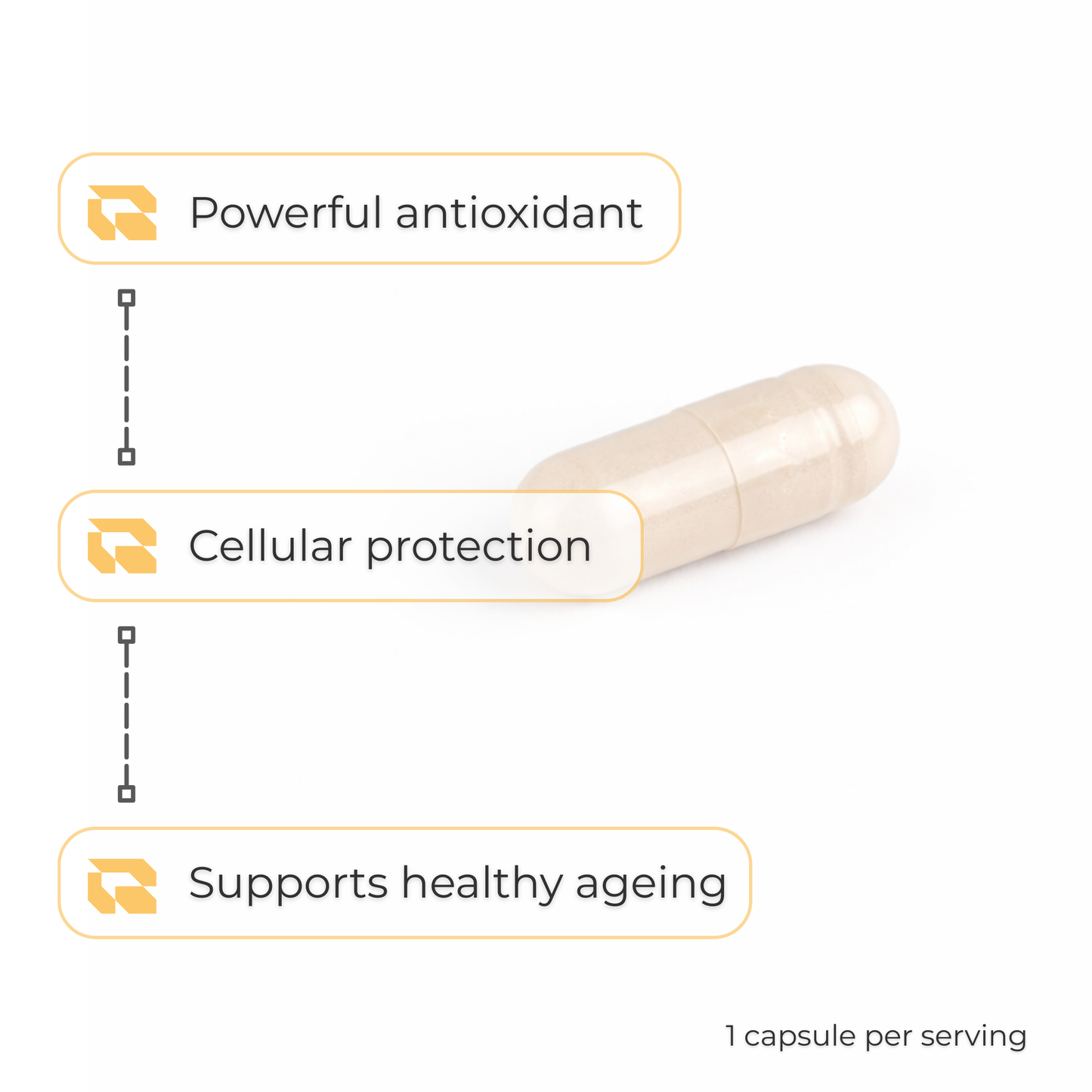 Regimen Trans-Resveratrol 500mg supplement for cellular health.