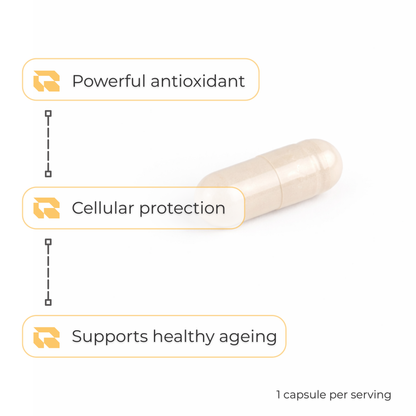 Regimen Trans-Resveratrol 500mg supplement for cellular health.